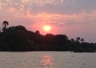 Sundowner cruise on the Zambezi. Hippos and Elephants a-plenty.